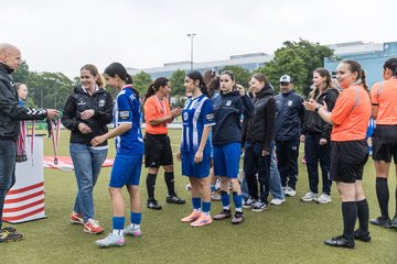 Bild 84 - wBJ Hamburger SV - FC Suederelbe : Ergebnis: 9:0